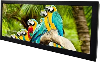 Amazon.com: VSDISPLAY 12.3'' Portable IPS LCD Monitor 1920x720